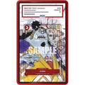 EXTENDED ART PROTECTIVE CASE - 20