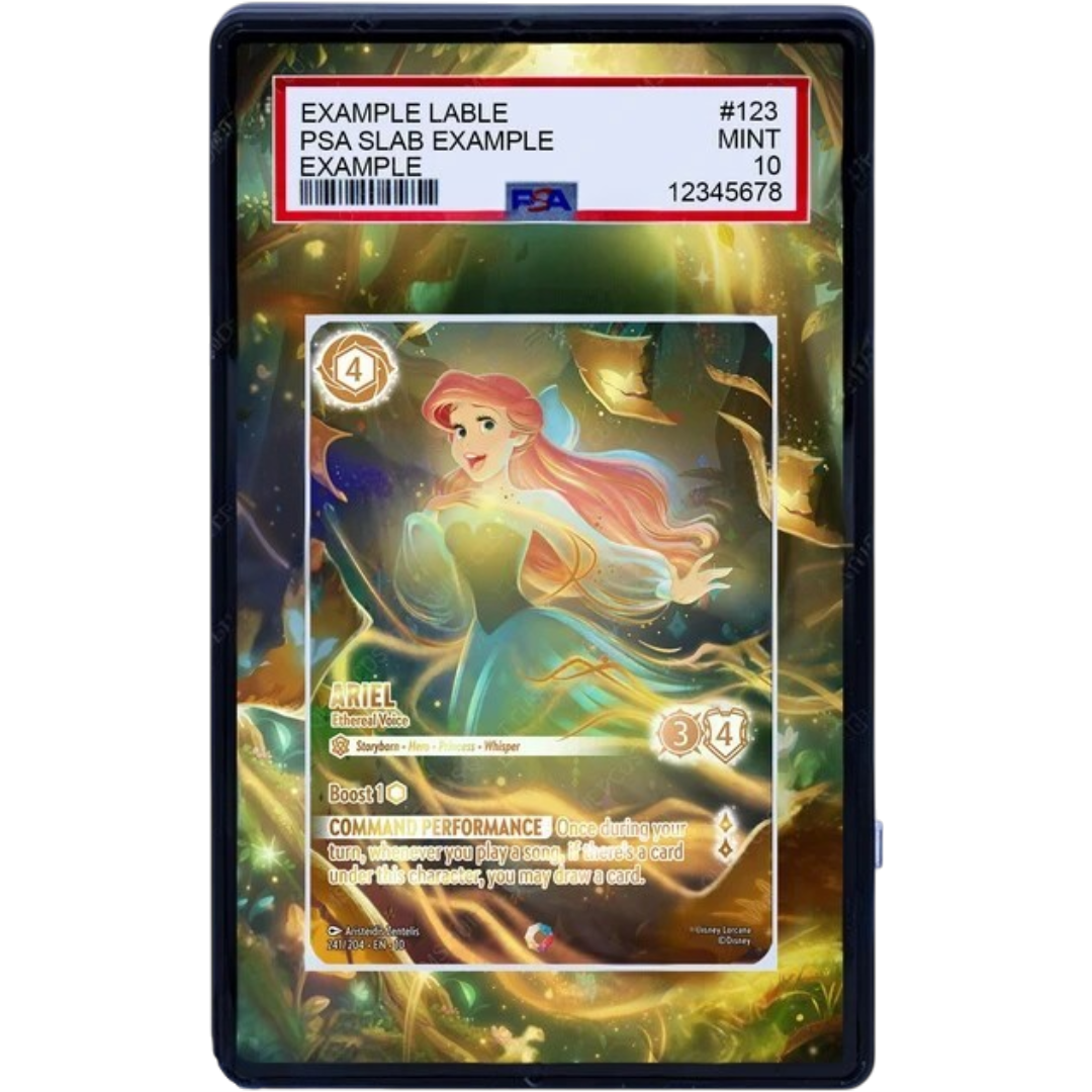 EXTENDED ART - ARIEL ETHEREAL VOICE 241 204
