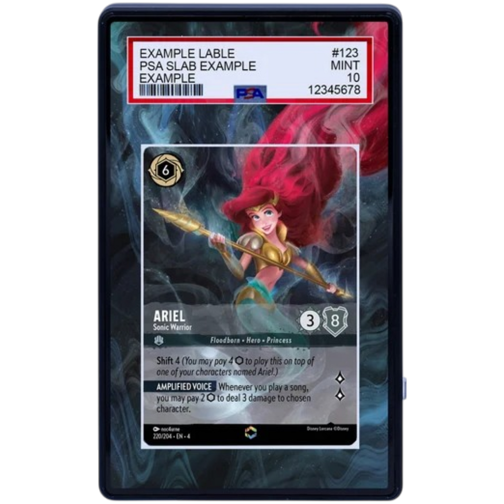 EXTENDED ART -ARIEL SONIC WARRIOR 220 204