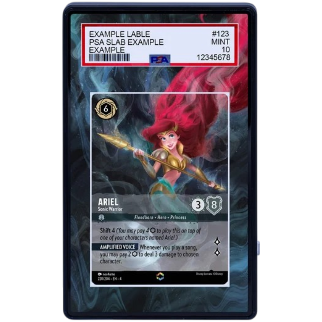 EXTENDED ART -ARIEL SONIC WARRIOR 220 204