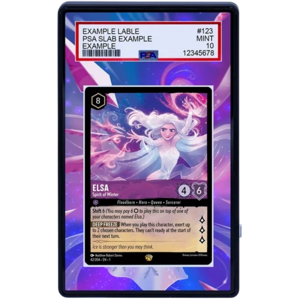 EXTENDED ART -ELSA 42 204