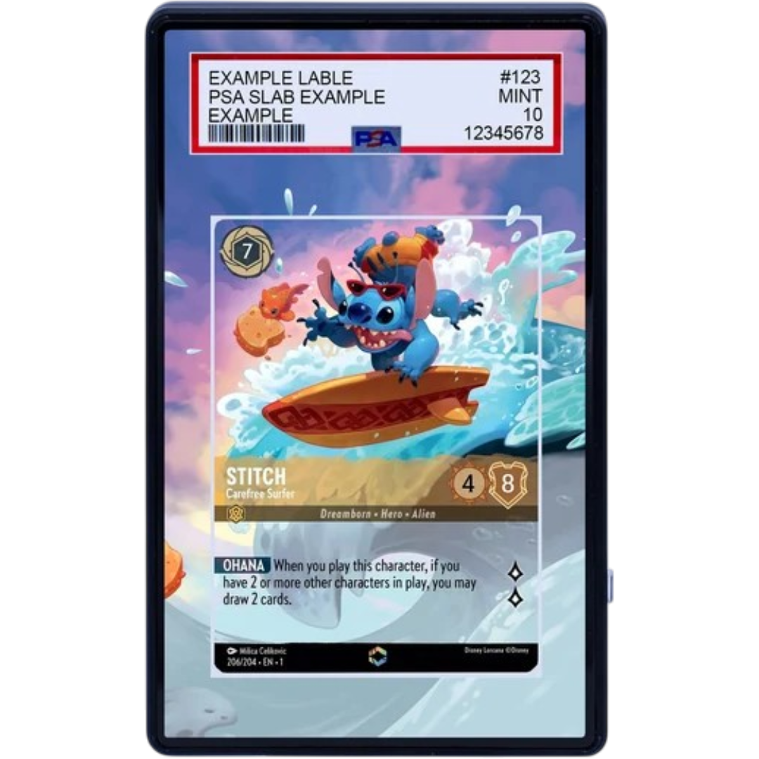 EXTENDED ART -STITCH 206 204