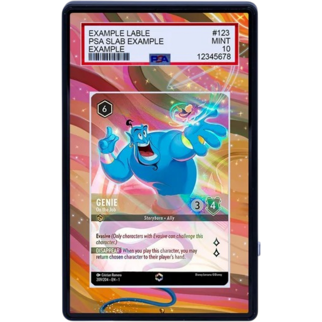 EXTENDED ART -GENIE 209 204