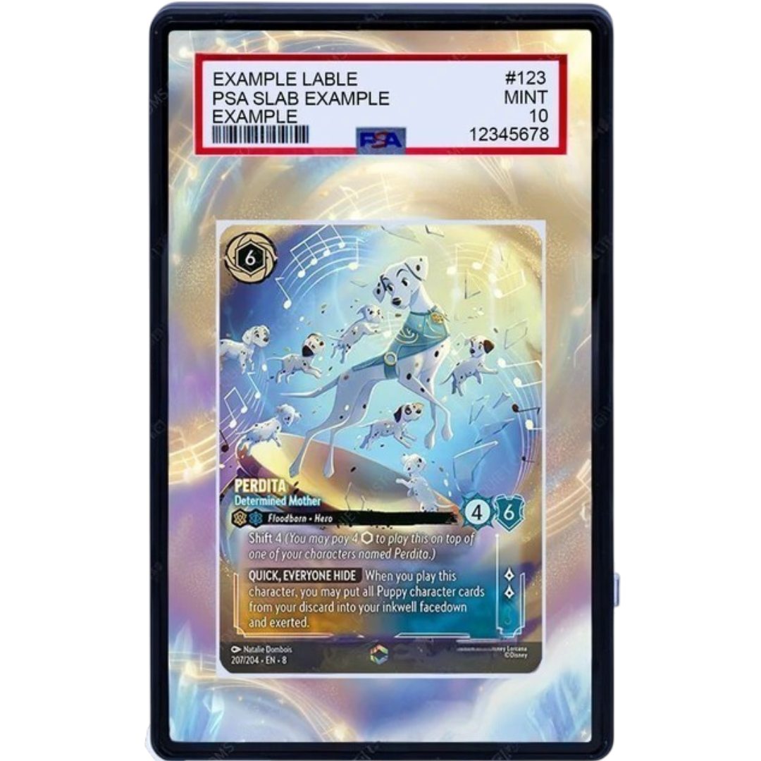 EXTENDED ART -PERDITA 207 204