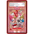 EXTENDED ART PROTECTIVE CASE - 11
