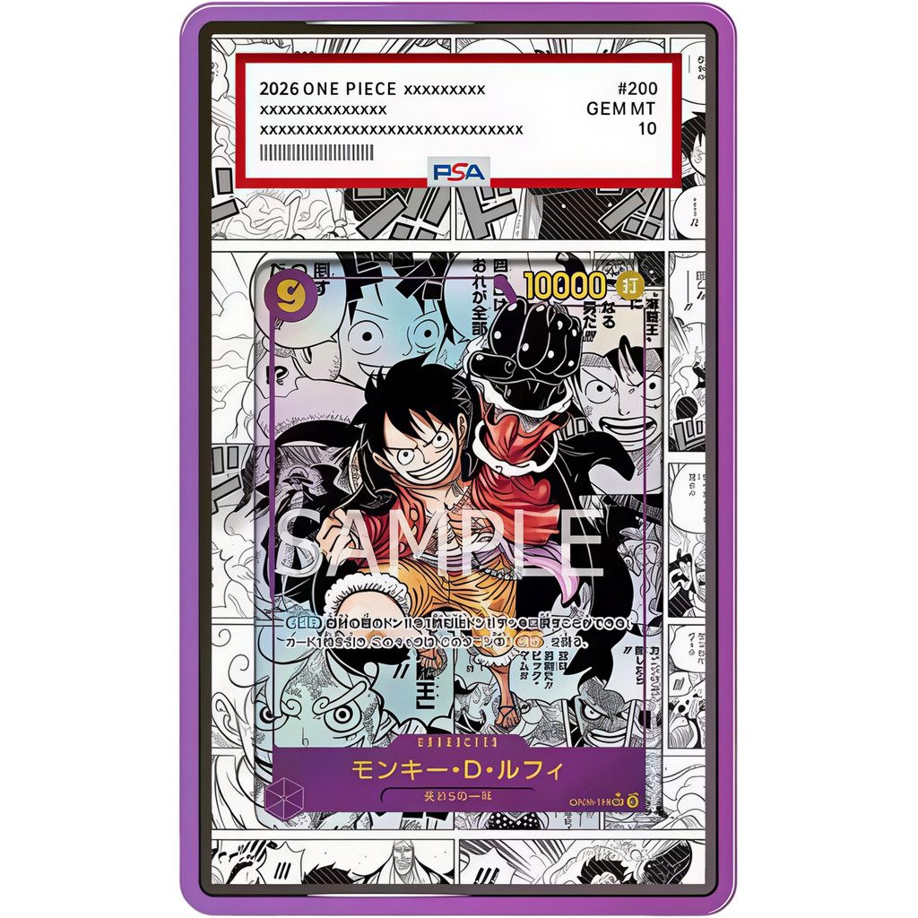 EXTENDED ART PROTECTIVE CASE - 12