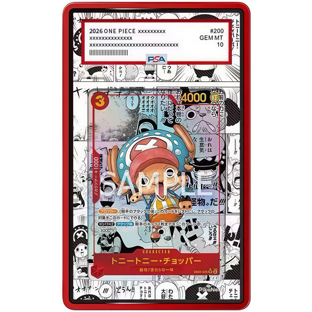 EXTENDED ART PROTECTIVE CASE - 13