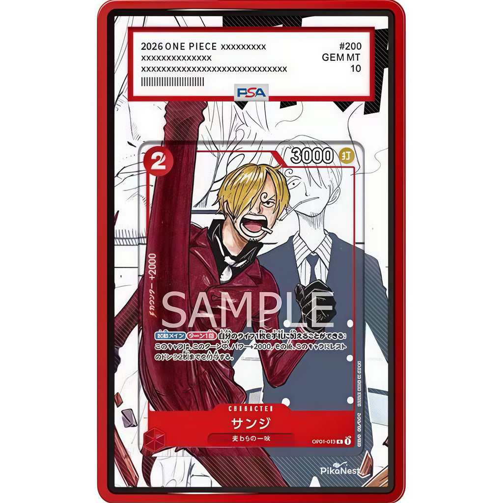EXTENDED ART PROTECTIVE CASE - 18