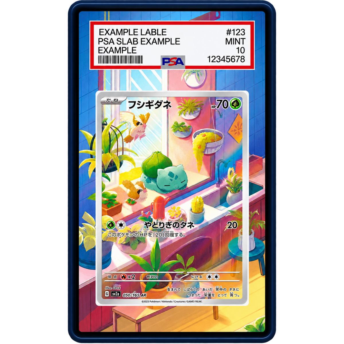 EXTENDED ART - Bulbasaur 143 142