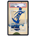 EXTENDED ART - Cramorant 226 SM-P