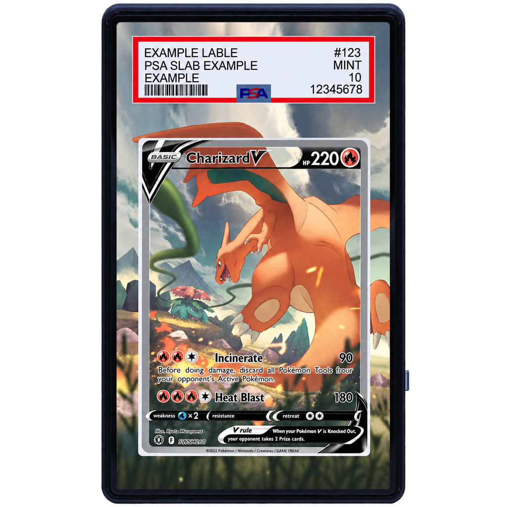 EXTENDED ART - Charizard V 154 172