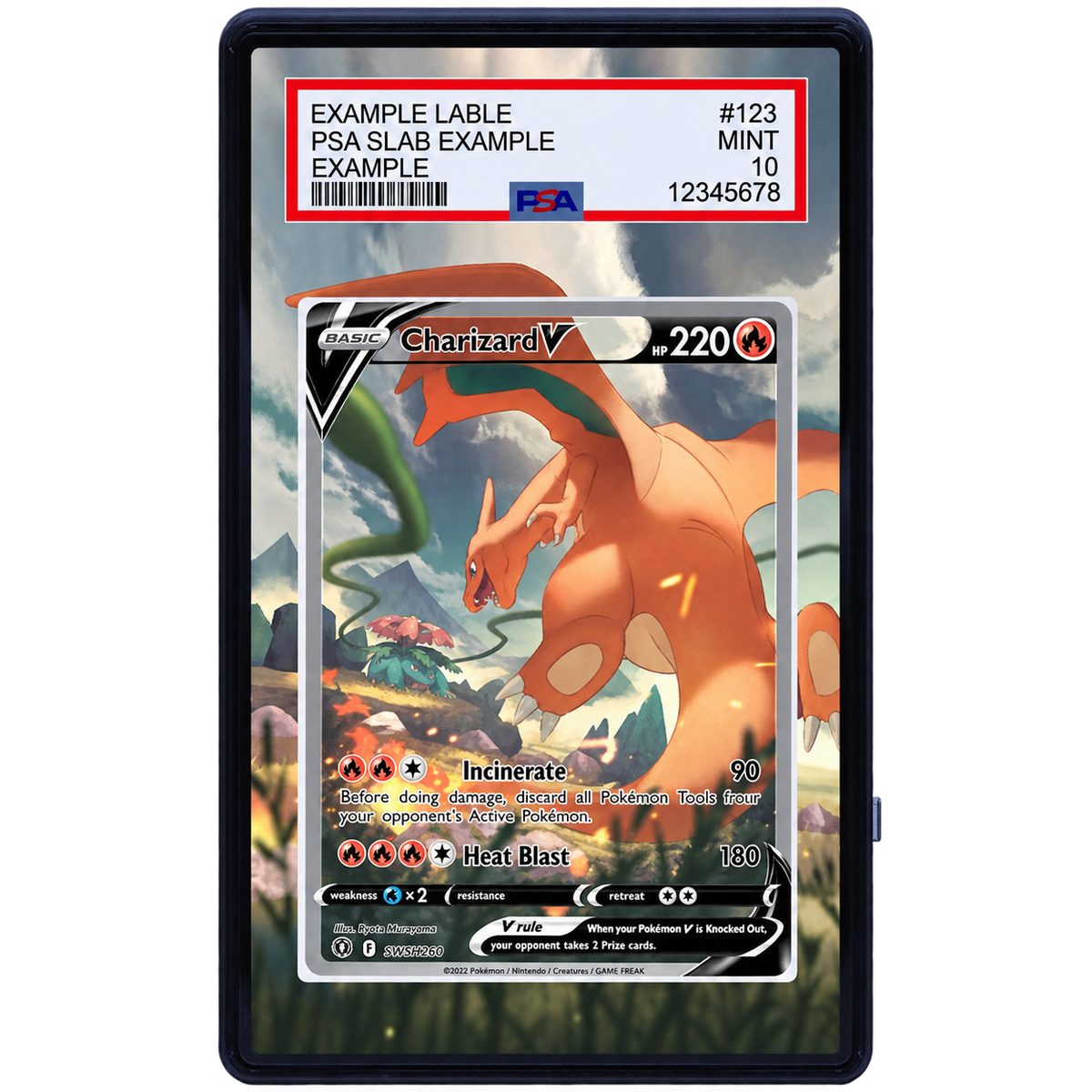 EXTENDED ART - Charizard V 154 172