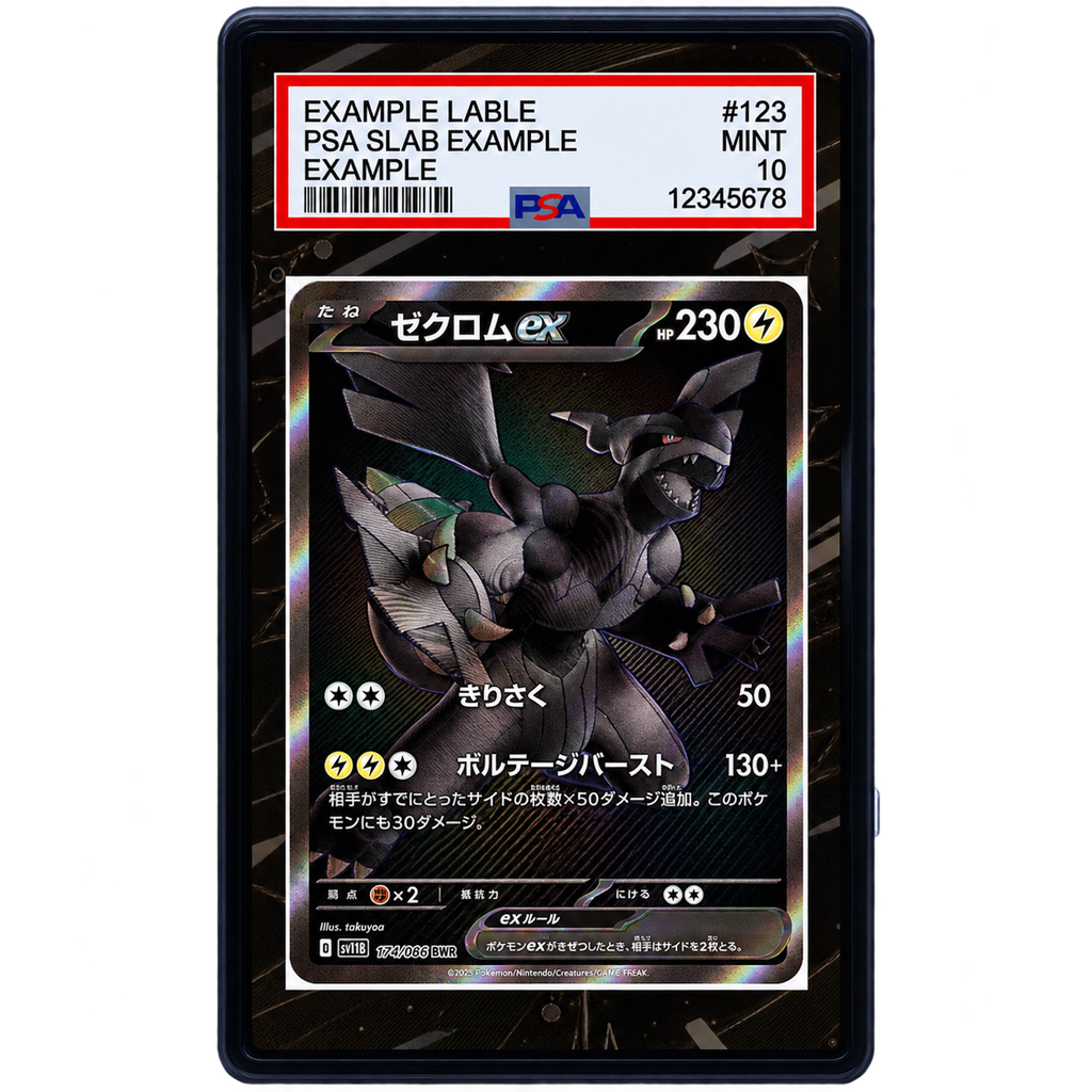 EXTENDED ART - Zekrom EX 172 086