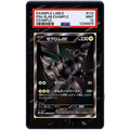 EXTENDED ART - Zekrom EX 172 086