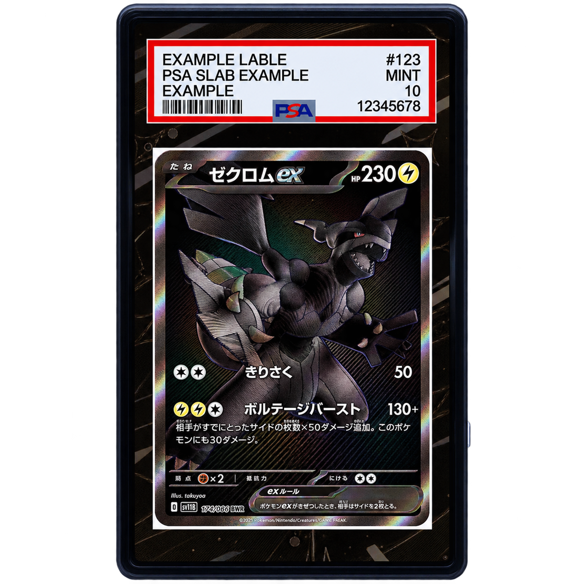 EXTENDED ART - Zekrom EX 172 086