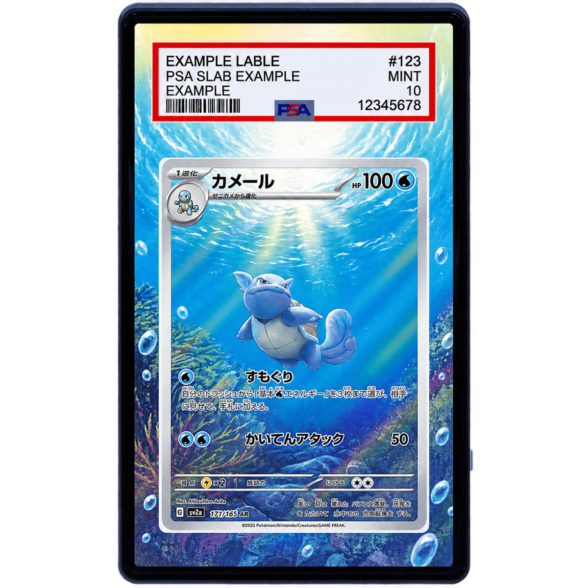 EXTENDED ART - Wartortle 171 165