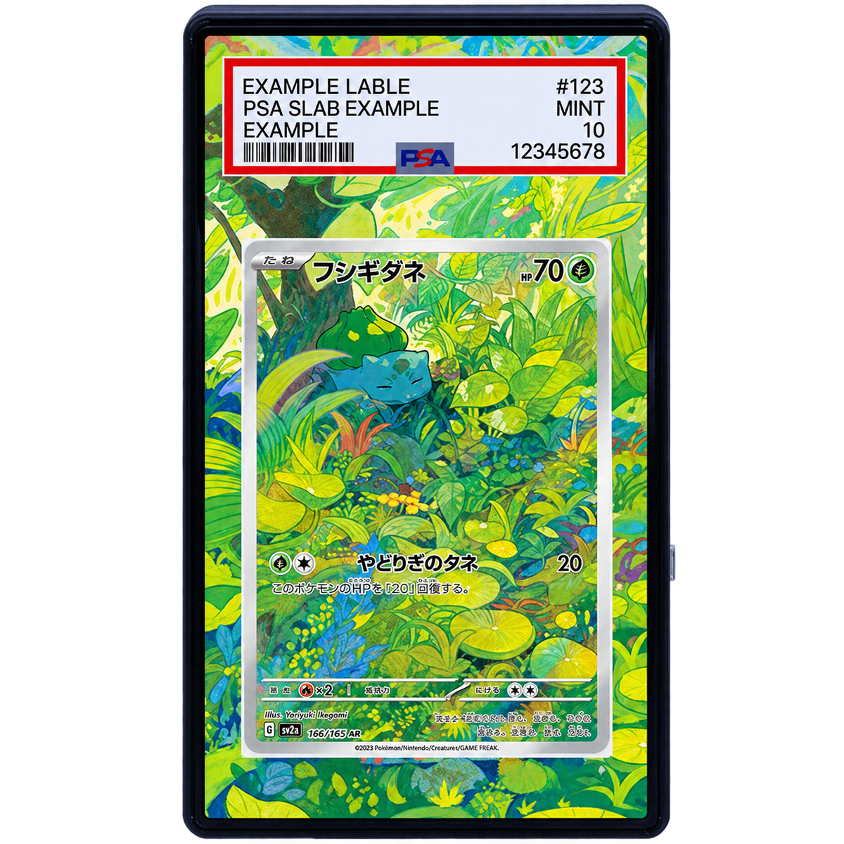 EXTENDED ART - Bulbasaur 166/165