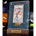 PREMIUM PSA/BGS GRADED CARD DISPLAY FRAME