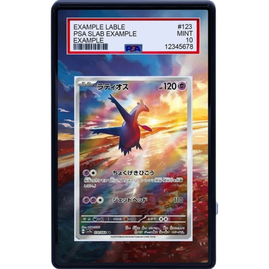 LATIOS 203/191 Pokémon Surging Sparks Extended Art panel for a premium graded card display case.