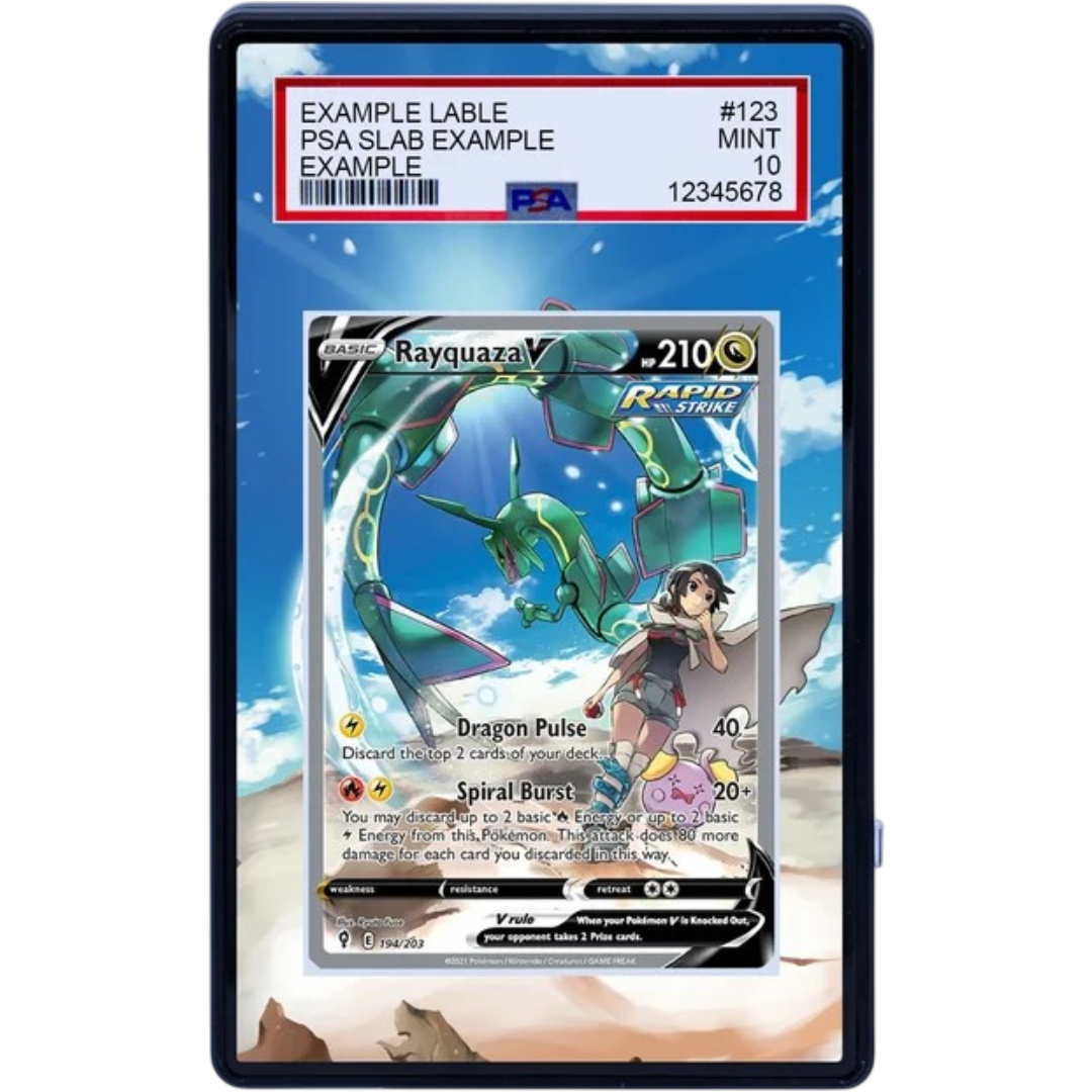 RAYQUAZA V 194/203 Pokémon Evolving Skies Extended Art panel for a premium graded card display case.